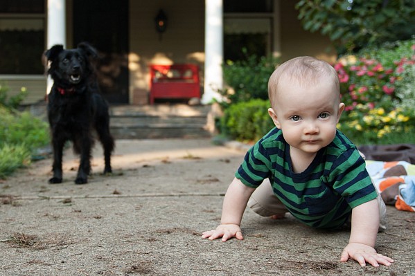 infant-portrait-photographers-charlotte-nc.jpg infant portrait boy on sidewalk with dog