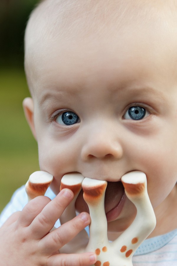 infant-portrait-photographer-charlotte.jpg infant portrait boy with sophie
