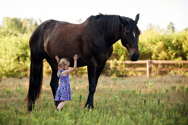 natural-light-charlotte-family-photographers.jpg natural light charlotte family portrait girl with horse