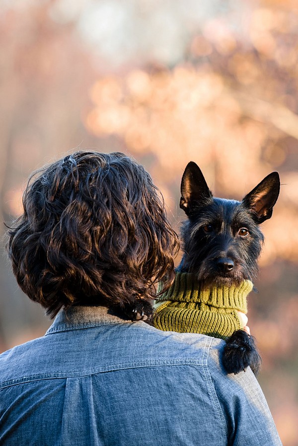 fort-mill-family-photographers-dog-furbaby.jpg Family portrait furbaby