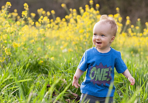 spring-family-portrait-ideas-charlotte-photographer.jpg first birthday family portrait session boy in field