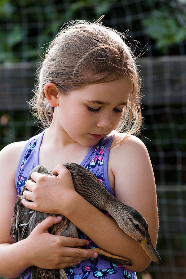 natural-light-north-carolina-family-photographers.jpg farm girl with duckling natural family photographers