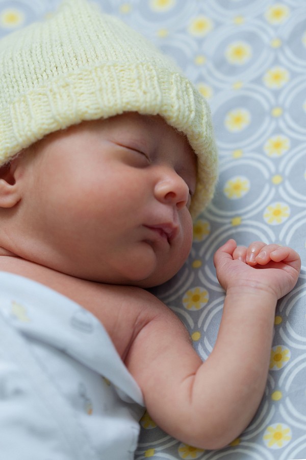 newborn-portrait-photographer-charlotte.jpg newborn girl family portrait ideas
